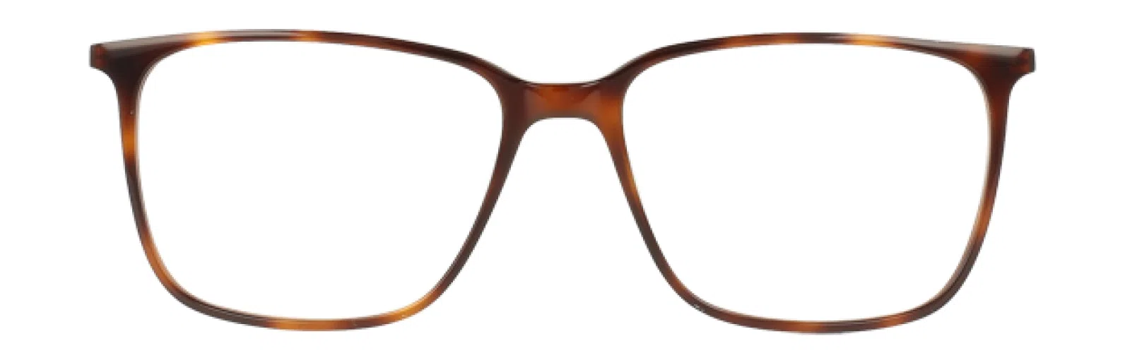 Life Is Good Nathan Eyeglasses - view 10